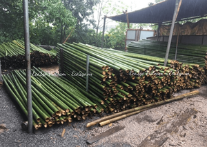 Meilleur vendeur, poteaux en bambou gratuits/ Grands poteaux en bambou/ Prix des poteaux en bambou de Eco2go Vietnam - Product Image 6