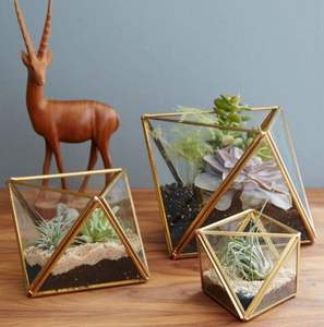 Nouveau jardinière en verre de Terrarium fini noir pour la décoration de jardin jardinière de Terrarium pour la décoration intérieure et extérieure - Product Image 5