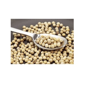 Pimienta blanca barata a la venta Suministro a granel de alta calidad para cocinar Fabricación de alimentos y exportación Mercados mayoristas disponibles - Product Image 6