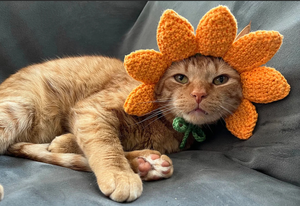 Gorro de ganchillo para gato con orificios para las orejas, disfraz de girasol hecho a mano para cumpleaños de mascotas, sombrero de cosplay con cordón - Product Image 5