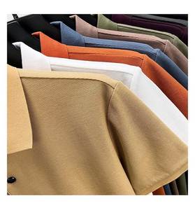 Camiseta Polo informal de alta calidad para hombre 2025, manga corta de algodón texturizado supersuave con etiqueta personalizada - Product Image 2