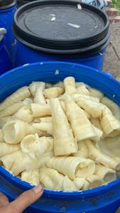 Pousses de bambou salées Sophie entières et tranches de légumes en conserve - Product Image 4