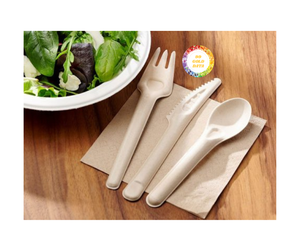 Cuchara y tenedor de caña de azúcar bagazo, vajilla biodegradable, juego de cuchara y tenedor, cuchara de bagazo desechable, vajilla de Vietnam - Product Image 1