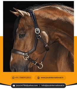 Bride Micklem de haute qualité pour chevaux Fabricant et fournisseur de matériel de cheval plié - Product Image 4