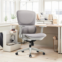 Chaise de bureau à vente directe d'usine avec support lombaire, chaise d'ordinateur en maille pour personnel