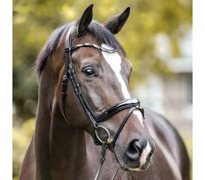 Ivana Bridle Outdoor Sports abordables Utilisation de l'équitation confortable pour l'extérieur dans le monde entier - Product Image 6