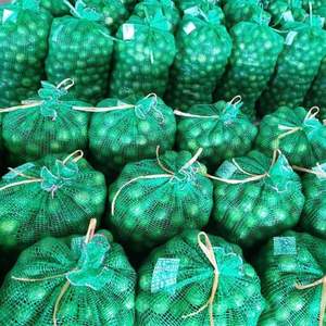 Limones Verdes Frescos Premium, Limones al por Mayor de Alta Calidad - Product Image 2