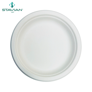 100% Assiette jetable biodégradable Tailles personnalisées écologiques Assiette ronde de 10 pouces disponible en blanc et marron Service OEM - Product Image 3