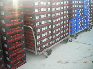 Équipement d'agriculture en serre de qualité turque, chariot de récolte standard pour tomates, construction en acier, garantie de 2 ans - Product Image 3