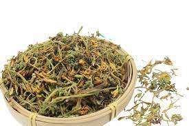 การส่งออกดอกมะละกอตัวผู้ไปยังประเทศไทย - Product Image 3