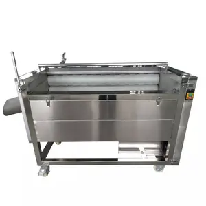 Small Capacity Carrot Washing Machine Industry Carrot Washing And Peeling Machine Carrot Washing Machine