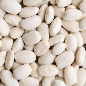 Precio de Fábrica, Habas Blancas Secas Congeladas IQF, Habas Lima en Empaque a Granel para Sopa, Ensalada y Catering - Product Image 1