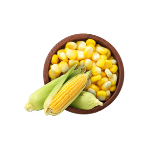 Maíz amarillo bien seco apto para fábricas de piensos comerciales - Product Image 6