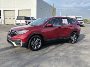 Honda CR-V EX-L d'occasion propre 2022 - Product Image 3