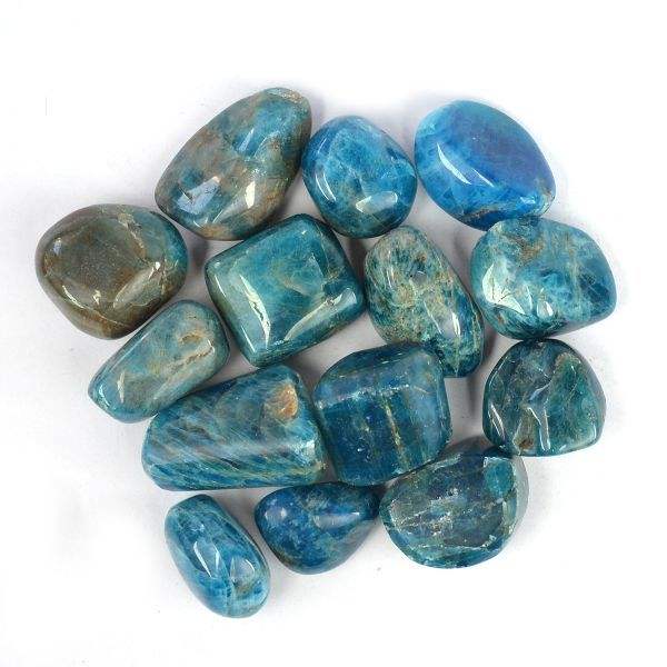 ตามที่แสดงในรูป