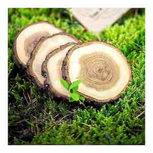 Sous-verres décoratifs en bois pour théière Vaisselle et ustensiles de cuisine naturels pour hôtels et restaurants - Product Image 3