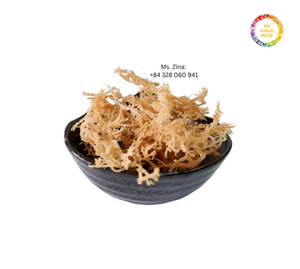 100% orgánico musgo de mar crudo gran cantidad seca con bolsa de proceso AD embalaje nuevo modelo Vietnam precio competitivo Zina origen - Product Image 5