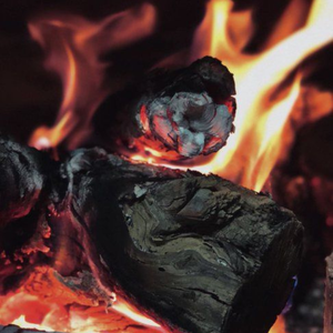 Carbón de mangrobilla Kachi de Indonesia, madera dura natural de alta temperatura para barbacoa y shisha, proveedor. - Product Image 5