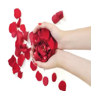 ผงสกัดดอกกุหลาบธรรมชาติบริสุทธิ์สารสกัดจากพืชธรรมชาติ - Product Image 3