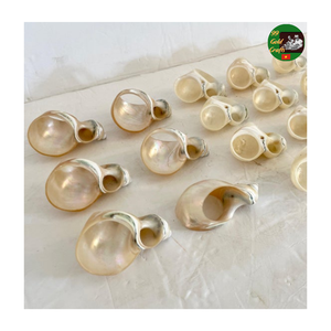 Anneaux de serviette en coquillages naturels pour la mise en place de table de style côtier Mariage, Anneaux de serviette en coquillages Finition polie pour banquets de luxe - Product Image 1