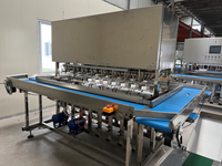 Fruitgroente Schilmachine Huid Verwijderen Machine Mango Dunschiller Slicer Motor Nieuw Product Verstrekt Japan Automatisch Fruit Gemaakt