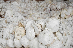 Bloc de caoutchouc naturel en forme de tasse - Product Image 5