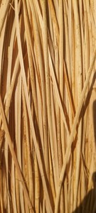 Rotin peler naturel Vietnam bandes de canne pour canapé à la main bord reliure osier abat-jour panier artisanat fournitures - Product Image 3