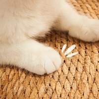 Tapis de sol modernes en jonc de mer tressé naturel, tapis d'appoint tissés antidérapants, adaptés aux animaux domestiques, décoration intérieure, paillasson, le plus vendu, Vietnam