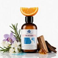 Huile essentielle aromatisante Blue Sea en marque privée, 100 ml, huile parfumée pour diffuseur d'aromathérapie et fabrication de bougies