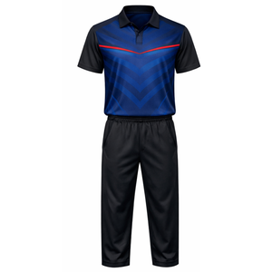 Uniforme de Cricket Azul Rey OEM para Hombre, Jersey y Pantalones de Cricket con Gráfico en Forma de V Sublimado, Ropa Profesional para Partidos de Equipo - Product Image 1