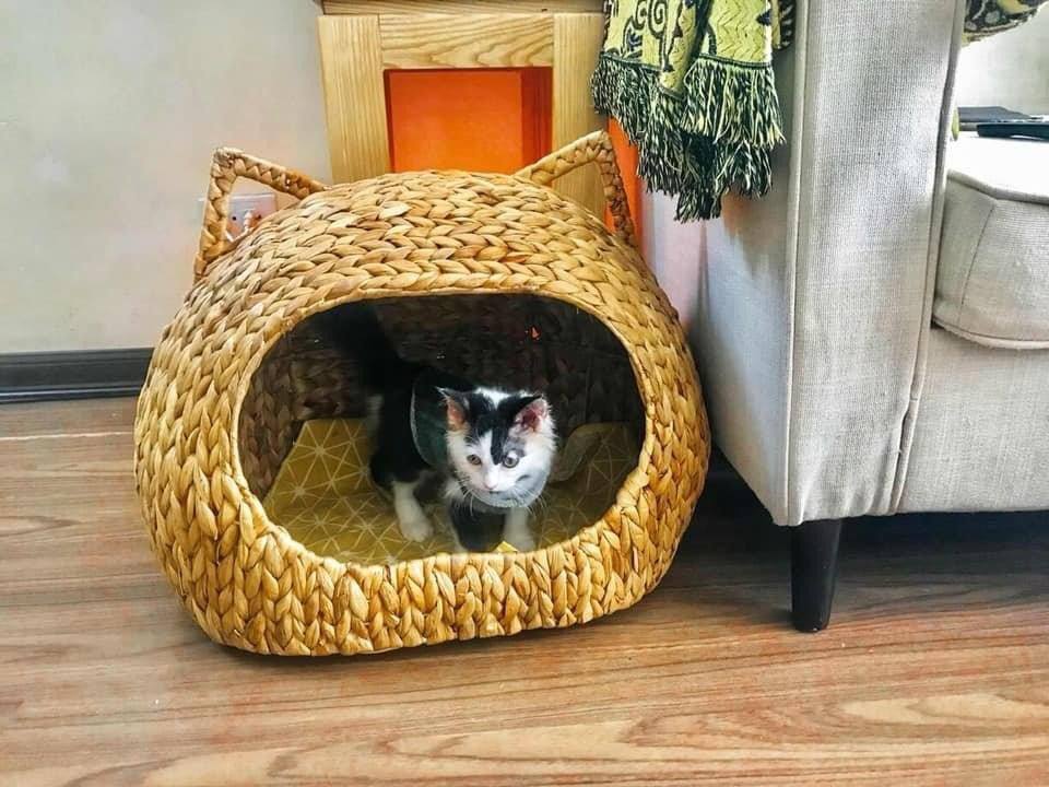 ธรรมชาติ