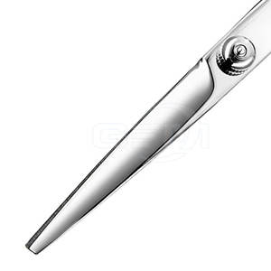 Tijeras de Peluquería de Acero Inoxidable Reutilizables de Alta Calidad, Ligeras, para Diestros, Mango Mediano, Opción Económica - Product Image 6