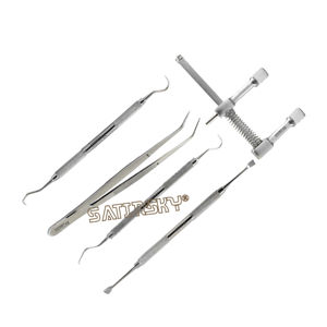 Professional Veterinary <b>Small</b> Dog Dental Scaling <b>Kit</b> Calculus Tartar Remover Instruments High Quality - Product Image 1