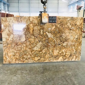 Superficie pulida de losa de granito de oro de Alaska de diseño moderno - Product Image 6