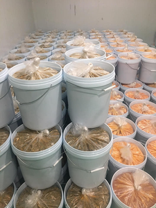 100% ธรรมชาติแช่แข็งเสาวรสน้ำผลไม้ที่มีคุณภาพดีราคาที่ดีที่สุดเวียดนามพรีเมี่ยมความหวานสีธรรมชาติที่มีคุณภาพสูง - Product Image 4