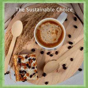 ช้อนแบบใช้แล้วทิ้งเป็นมิตรกับสิ่งแวดล้อมสำหรับการรับประทานอาหารและงานเลี้ยงที่ยั่งยืน - Product Image 4