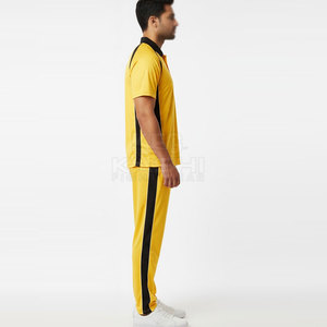 Uniforme de cricket pour hommes de haute qualité avec tissu respirant, coupe douce, coutures durables, impression par transfert thermique, service OEM pour - Product Image 4