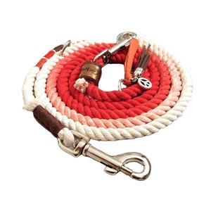 Laisse pour chien de compagnie, en nylon, rétro, Passion - Product Image 1
