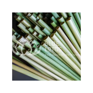 MEILLEUR PRIX DE BLUE LOTUS FARM 100% ECO FRIEND GRASS STRAWS PRODUIT CHAUD DU VIET NAM PRODUIT MEILLEURE VENTE - Product Image 1