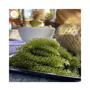 Caviar vert salé de haute qualité, algues marines déshydratées, umibudo, pour le marché international - Product Image 1