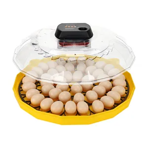 Mini Chicken Egg Incubators For 48 Eggs Incubator Hatching Machine Automatic With Roller Tray