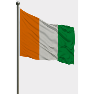 Ireland Custom 3x5ft Outdoor <b>Flag</b> Pennant Style Silk with Aluminum <b>Pole</b> Digital Printing Custom Logo Display - Product Image 1