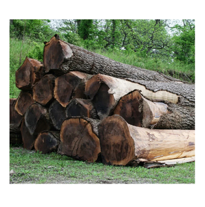 Bûches de bois de noyer durables à vendre à bas prix, provenant de sources pour une utilisation industrielle et commerciale du bois. - Product Image 1