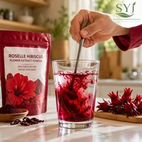Poudre de thé instantané à l'hibiscus de qualité alimentaire, extrait naturel de fleur de roselle pour l'utilisation dans les aliments et les boissons