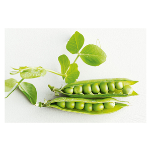 Guisantes verdes grado alimenticio congelados, secos y frescos Estilo a granel Embalaje y embalaje grado de embalaje Guisantes verdes - Product Image 3