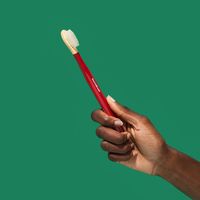 Brosse à dents à l'extrait de Miswak Biodégradable Eco-friendly Oral Care Hygiene par TAKVA RemoBrush (manche en bambou)