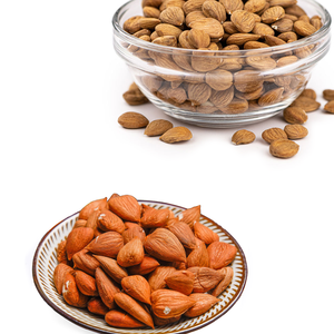 Noyau d'abricot | Séché naturellement pour un rendement en huile de première qualité - Product Image 1
