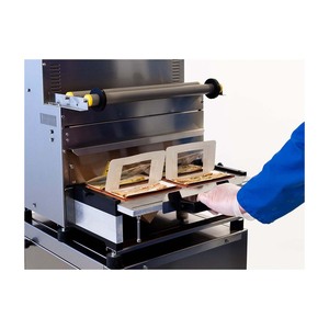 Máquinas de calor portátiles de Filipinas para envasar alimentos Sellador manual de cuerpo de aluminio Serie Pfs Máquina de sellado de bolsas de plástico - Product Image 2