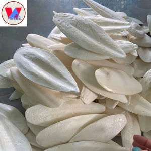 Hueso de Sepia Seco Natural, 85% Calcio y Minerales Esenciales, Suplemento 100% Orgánico, Sin Blanquear, Juguete para Aliviar el Estrés. - Product Image 1