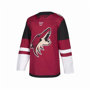Maillots de hockey sur glace personnalisés avec logo d'équipe imprimé par transfert thermique, haute qualité, 100% polyester, écologiques, séchage rapide, unisexe - Product Image 4
